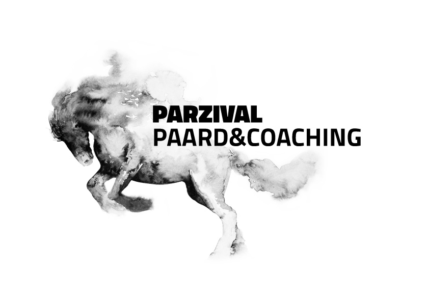 Parzival Paard & Coaching